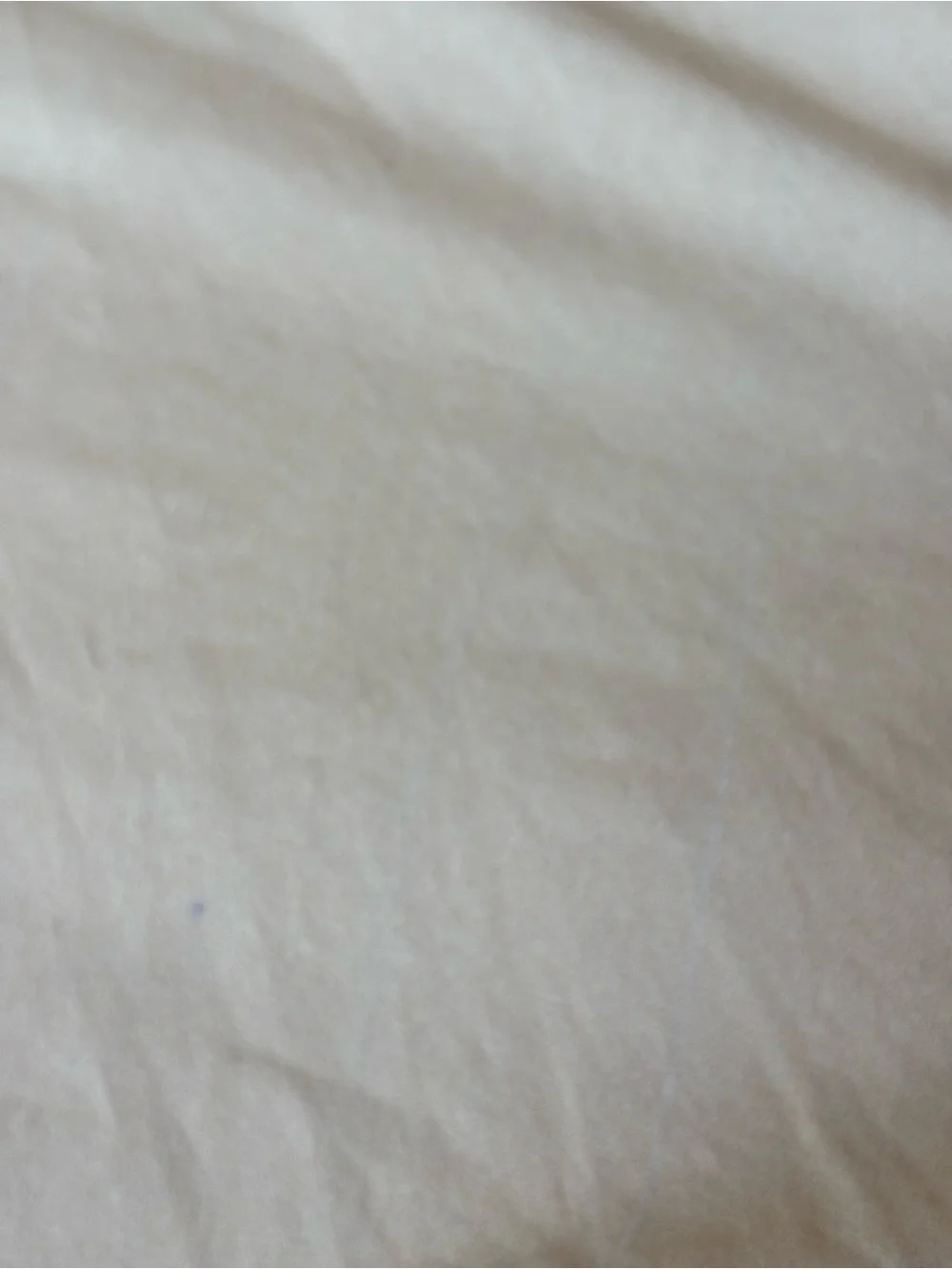 Williams Sonoma Painted Peacock Queen Duvet - Pr Euro Shams